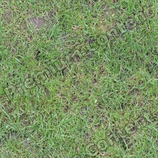 Seamless Grass 0003